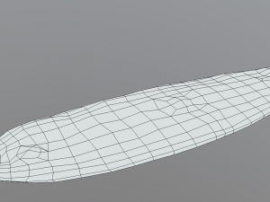 Kiymali Pide Turkish Pizza 3D 模型