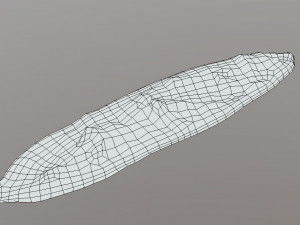 Pastirmali Pide Turkish Pizza Model 3D