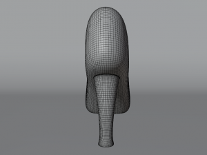 Crystal slipper Model 3D