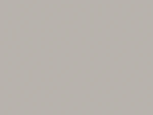 Ruimtevaarder 3D Model