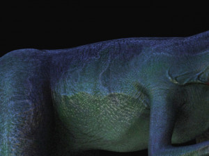 Dilophosaurus 3D-Modell