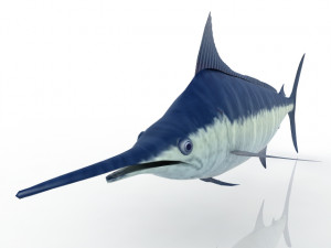 Swordfish Modelo 3D