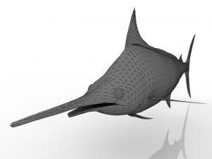 Swordfish Model 3D