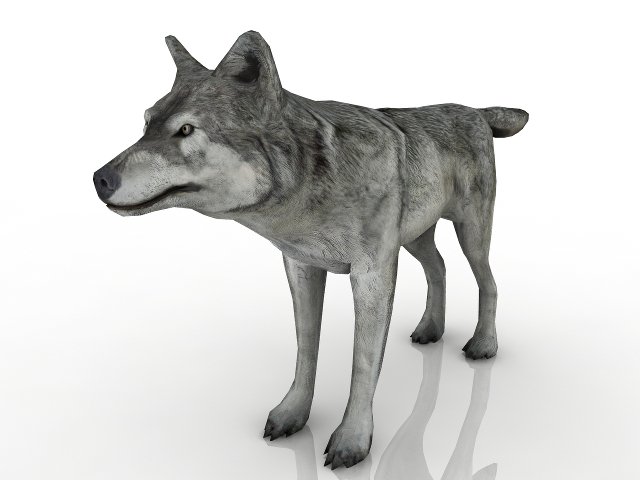 Wolf 3D-Modell .c4d .max .obj .3ds .fbx .stl .blend 
