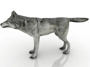 Wolf 3D Model