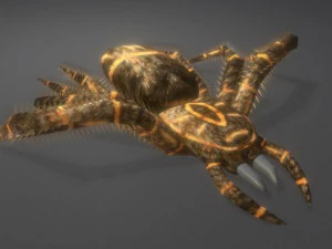 SPIDER ANIMATED AND GAME-READY 3D MODEL 3D Model