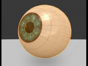 Eyeball Model 3D