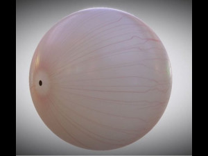 Eyeball Modèle 3D