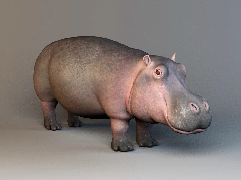 Cute hippopotamus 3D Model .c4d .max .obj .3ds .fbx .stl .blend 