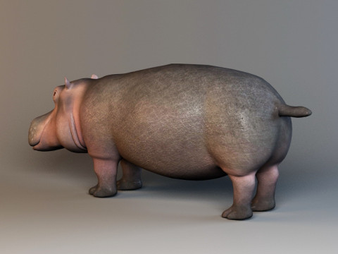 Cute hippopotamus Model 3D