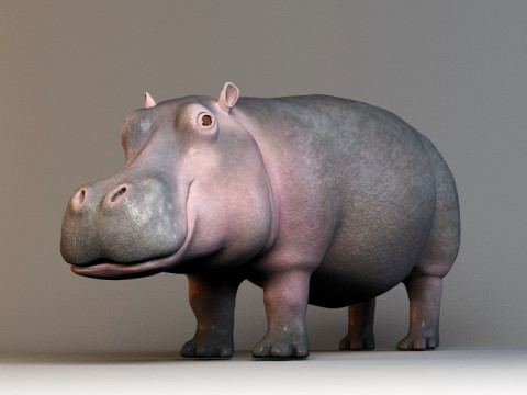 Cute hippopotamus Model 3D