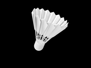 Badminton Shuttle 3D Model