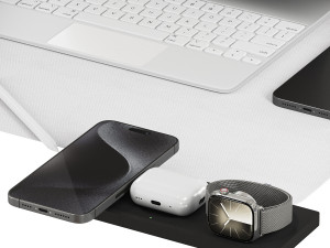 Apple set 3D Model