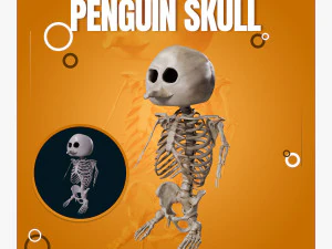 Череп пингвина Низкополигональная 3D Модель