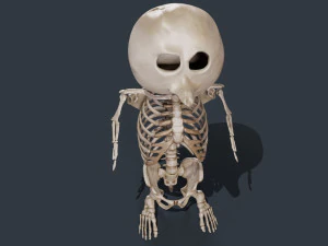 Penguin Skull Low-poly 3D Model