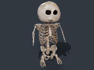 Penguin Skull Low-poly 3D 모델