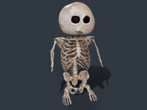 Penguin Skull Low-poly 3D Model