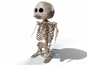 Penguin Skull Low-poly 3D Model