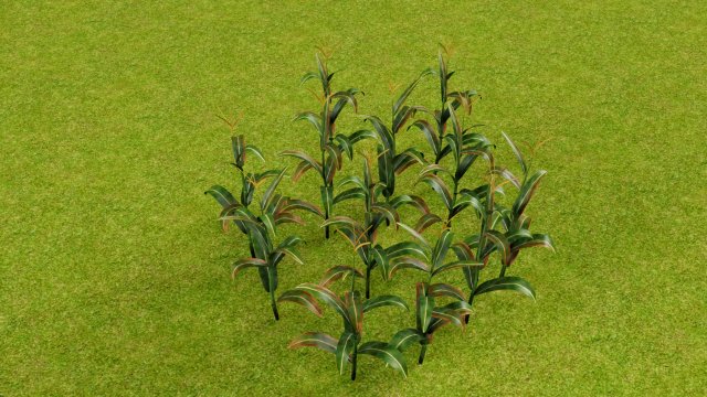 3D corn plant 3D Model .c4d .max .obj .3ds .fbx .stl .blend 