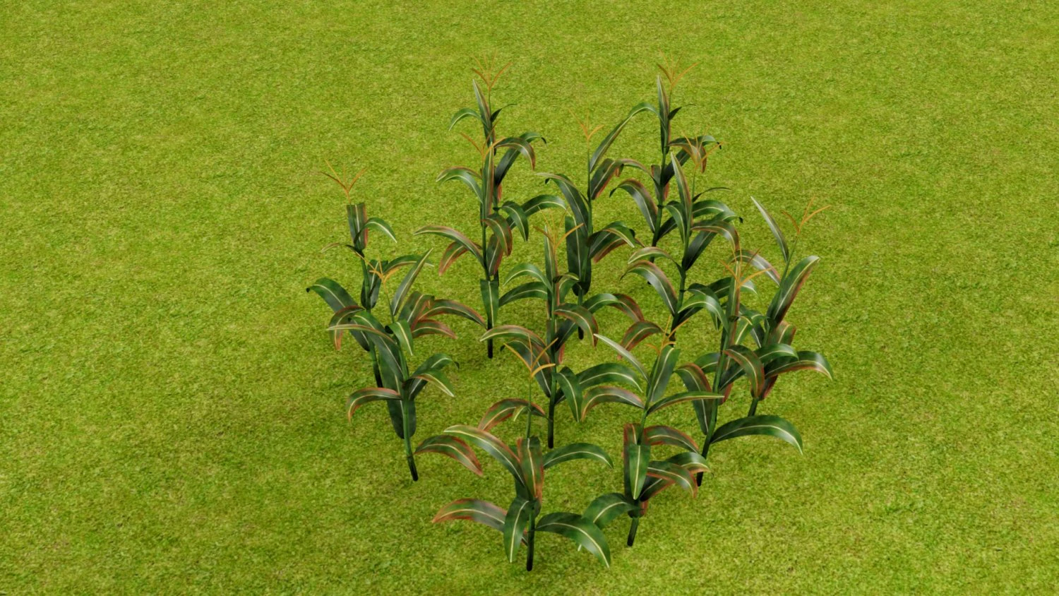 3D corn plant 3D Model .c4d .max .obj .3ds .fbx .stl .blend 