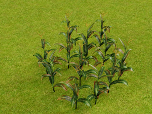 3D corn plant 3D Model