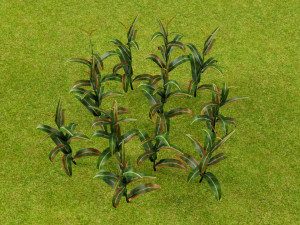 3D corn plant 3D Model