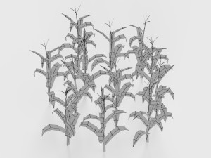 3D corn plant 3D Model