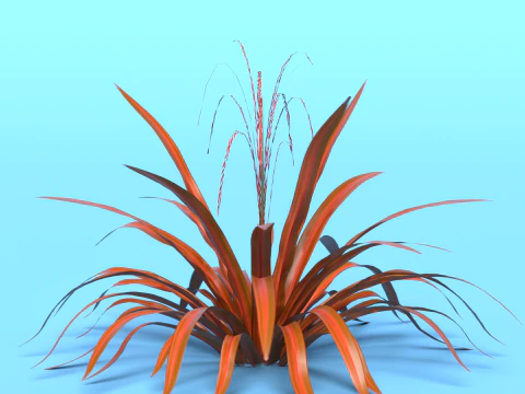 Aechmea Blanchetiana 3D Model
