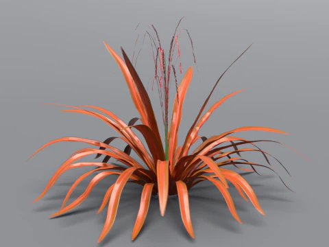 Aechmea Blanchetiana 3D Model
