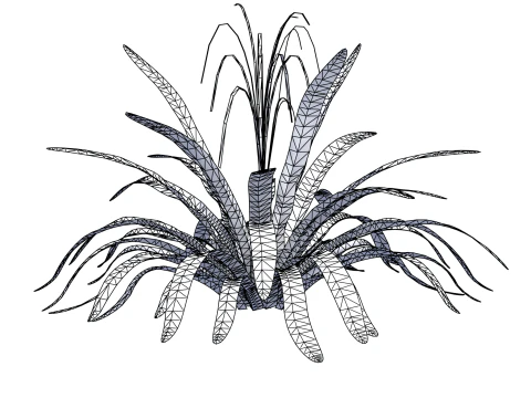 Aechmea Blanchetiana 3D Model