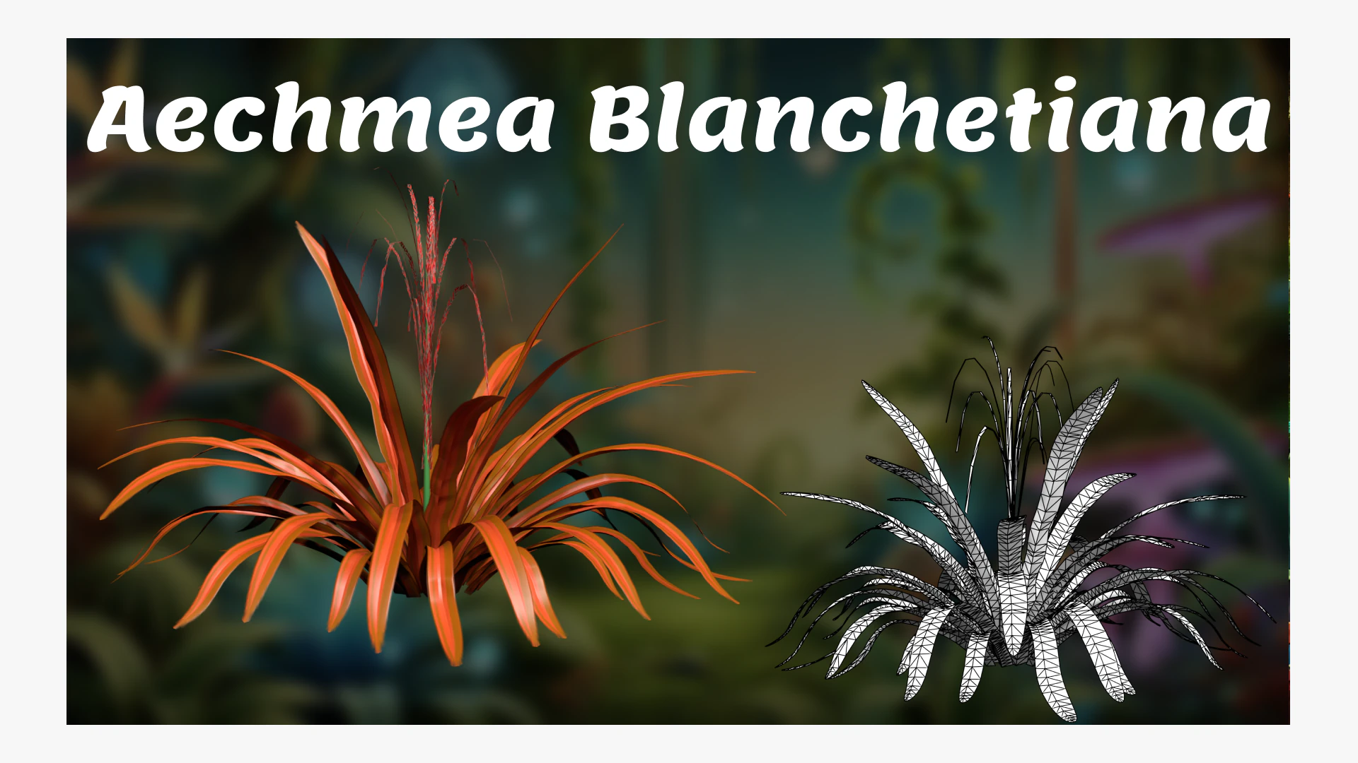 Aechmea Blanchetiana 3D Model .c4d .max .obj .3ds .fbx .stl .blend 