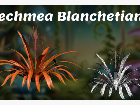 Aechmea Blanchetiana 3D Model