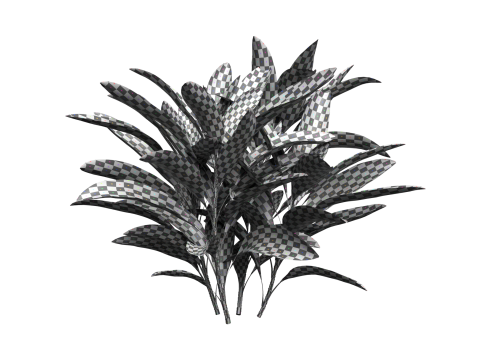 Shurbs Cordyline Fruticosa Red sisters 3D 모델