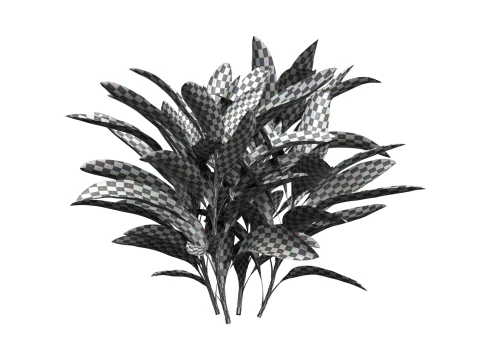 Shurbs Cordyline Fruticosa Red sisters 3D Model