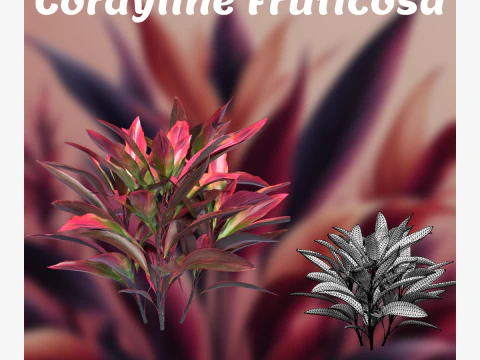 Arbustos Cordyline Fruticosa Irm&atilde; vermelha Modelo 3D