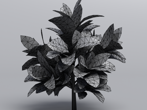 Codiaeum Variegatum 3D मॉडल