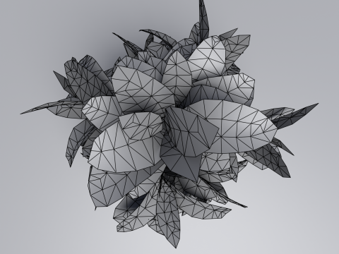 Codiaeum Variegatum 3D मॉडल