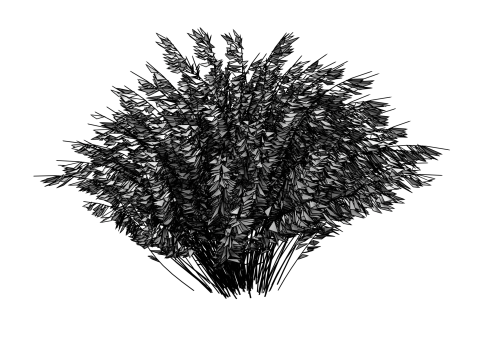 Muhlenbergia capillaris Modelo 3D