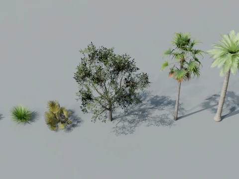 Boschetti Modello 3D