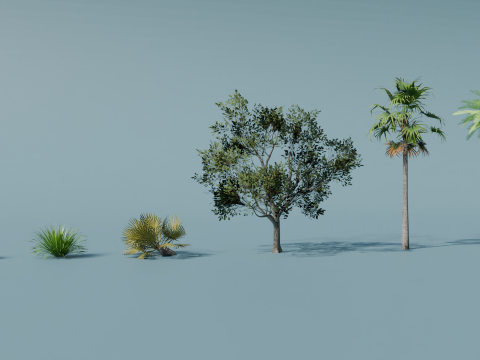 GROVES Modelo 3D