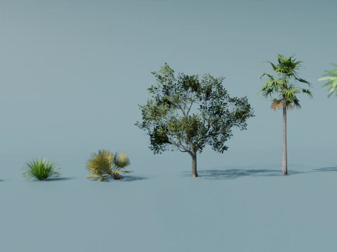 Boschetti Modello 3D