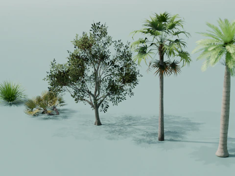 Boschetti Modello 3D