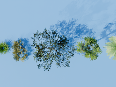GROVES Modelo 3D