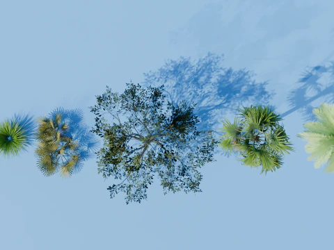 Boschetti Modello 3D