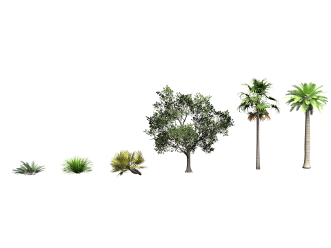 GROVES Modelo 3D