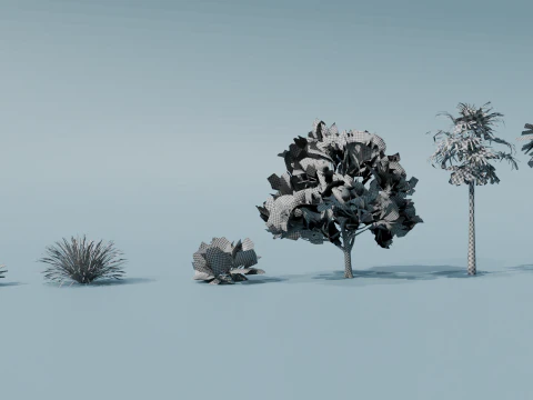 Boschetti Modello 3D