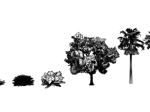 Boschetti Modello 3D