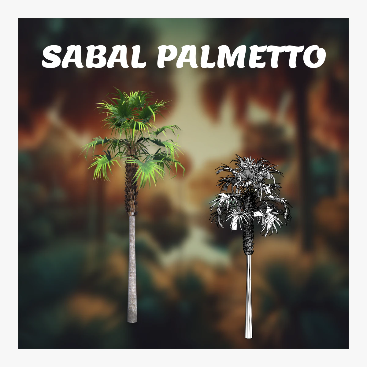 Sabal palmetto 3D Model .c4d .max .obj .3ds .fbx .stl .blend 