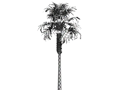 Sabal palmetto Modelo 3D
