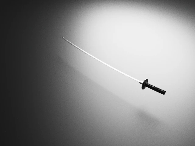Katana 3D Model .c4d .max .obj .3ds .fbx .stl .blend 